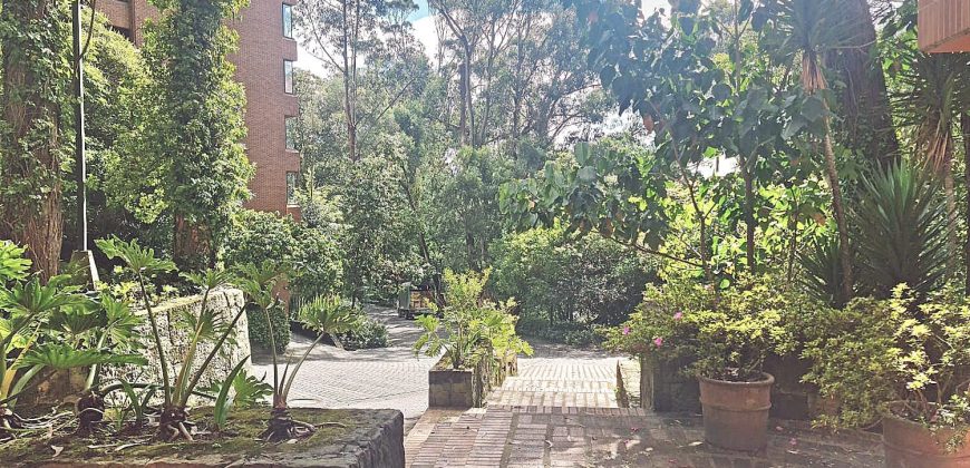 Apartamento con Jardín en Rosales Bella Vista